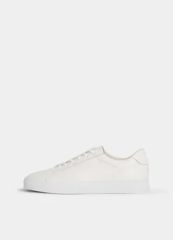 Cody Sneaker