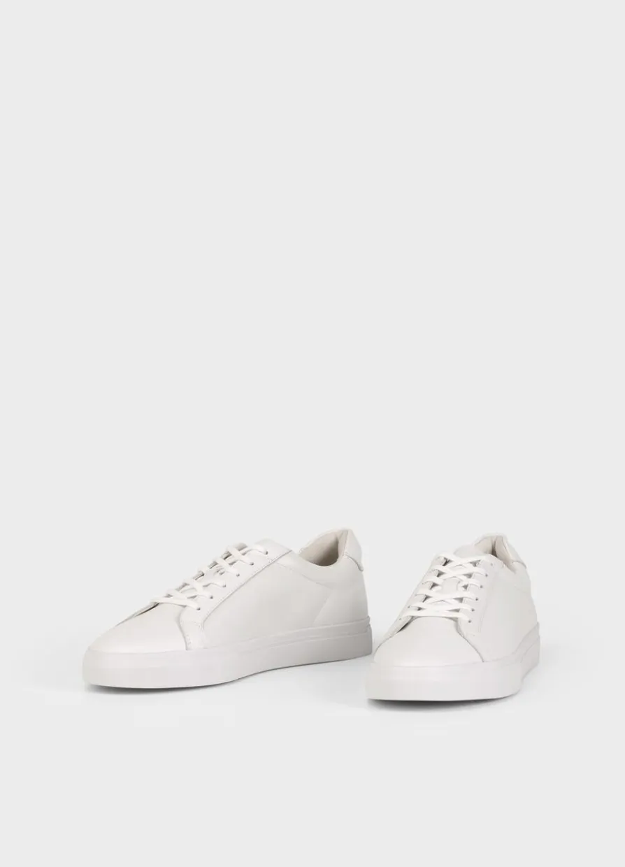 Cody Sneaker