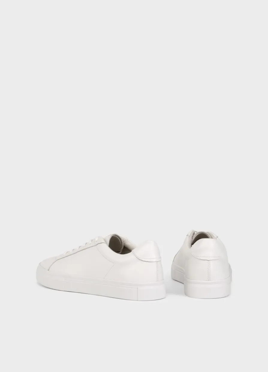 Cody Sneaker