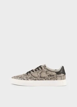 Cody Sneaker