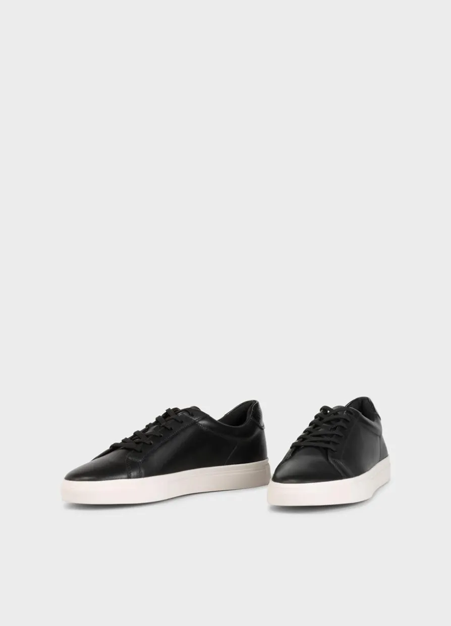 Cody Sneaker