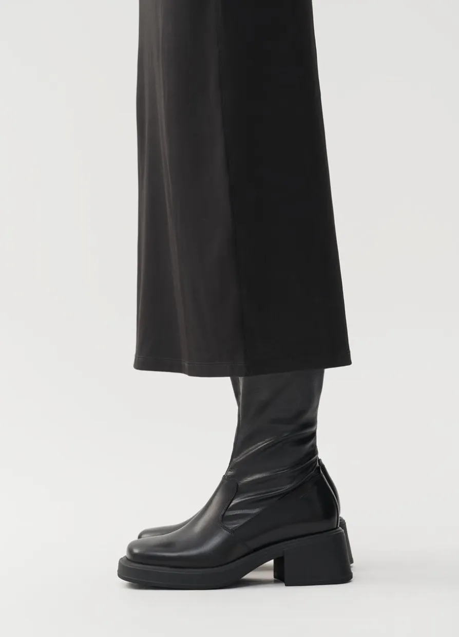 Dorah Stiefel