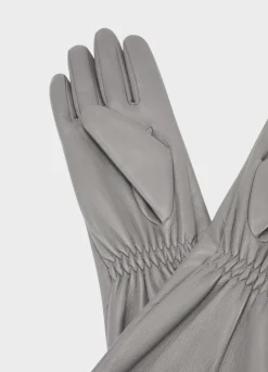 Extra Long Glove W